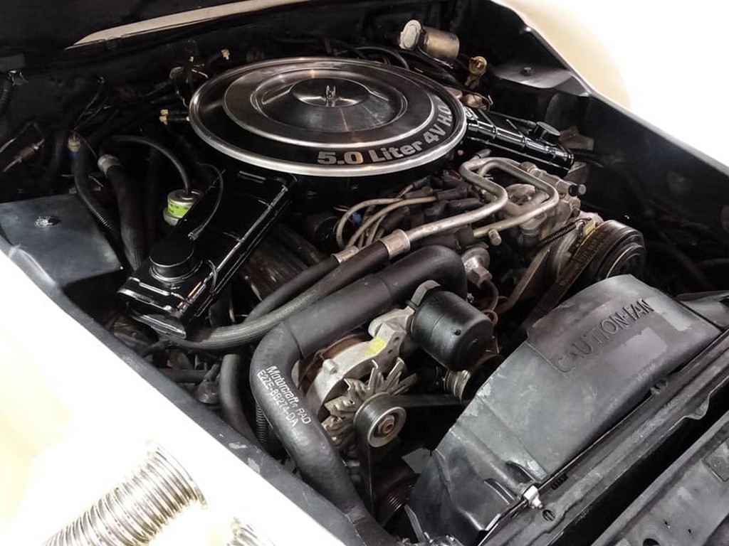 1983 Zimmer Golden Spirit Convertible – Online Sale - Image 10