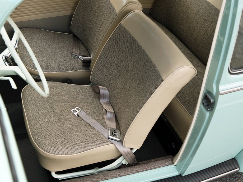 1965 Volkswagen Beetle Classic - Online Sale - Image 15