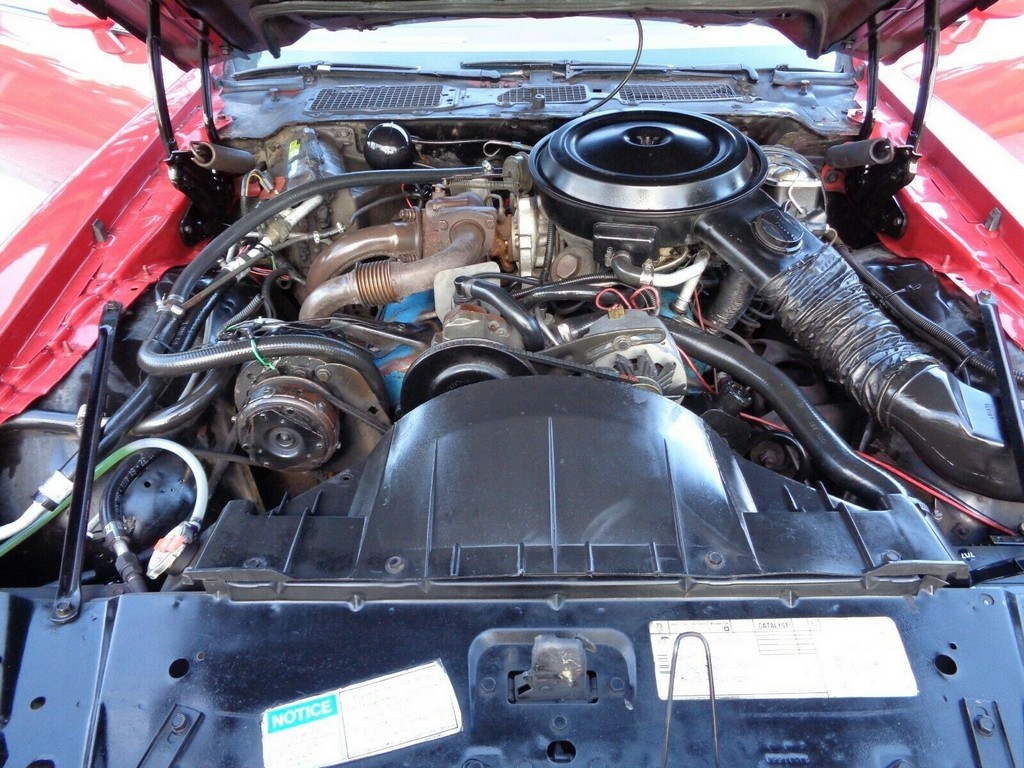 1980 Pontiac Firebird Turbo Formula - Image 24