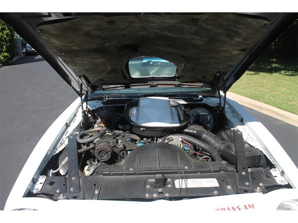 1976 Pontiac Firebird Trans Am - Image 6