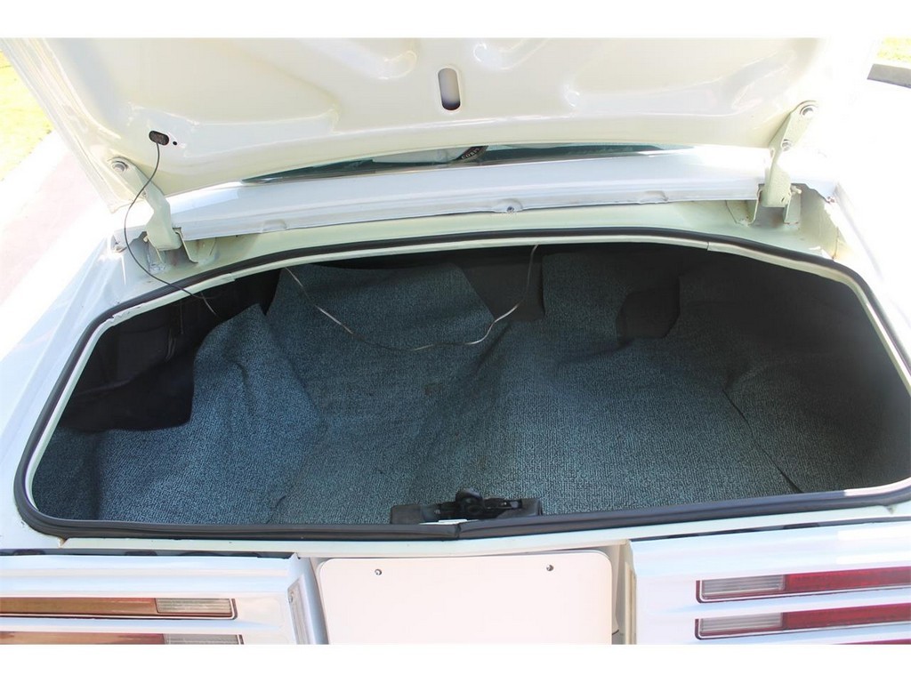 1976 Pontiac Firebird Trans Am - Image 10