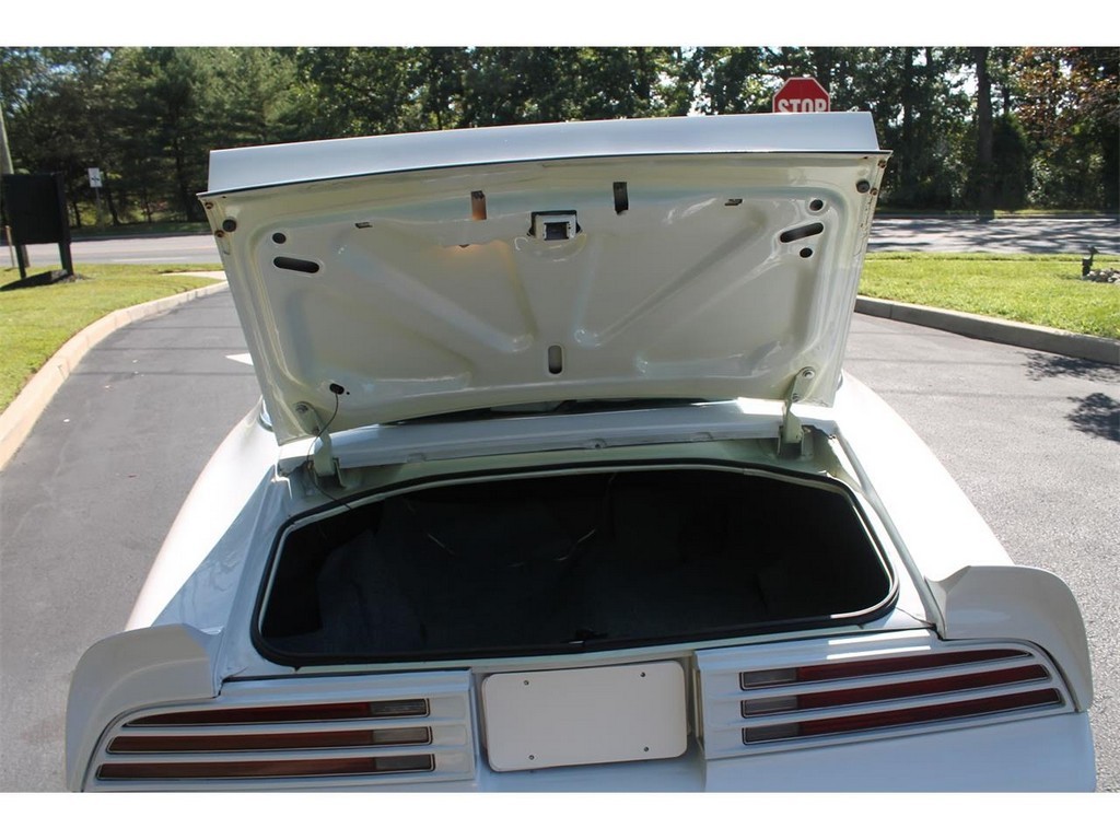 1976 Pontiac Firebird Trans Am - Image 13