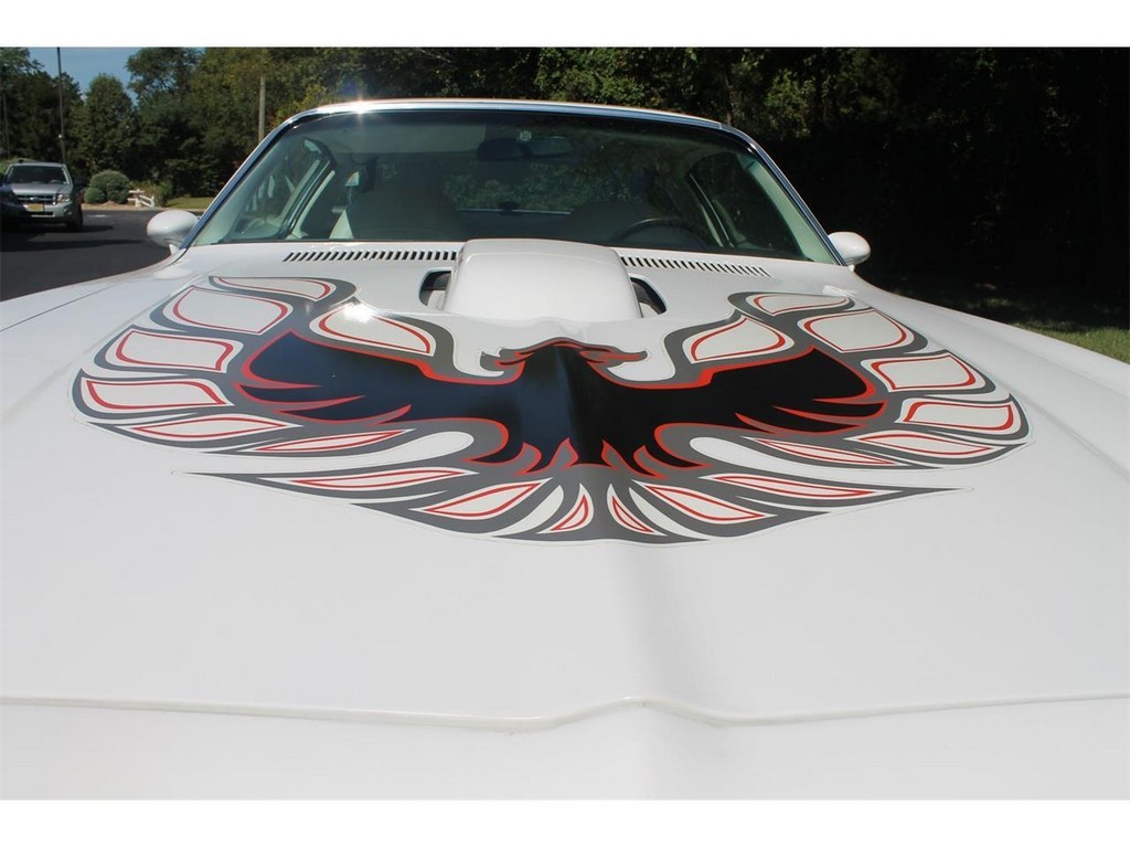 1976 Pontiac Firebird Trans Am - Image 27