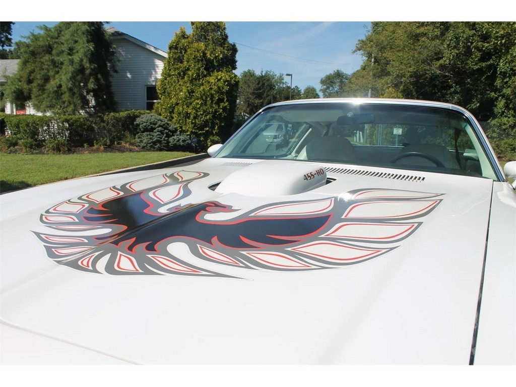 1976 Pontiac Firebird Trans Am - Image 28