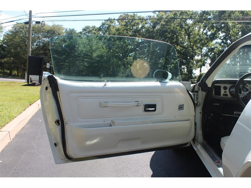 1976 Pontiac Firebird Trans Am - Image 31